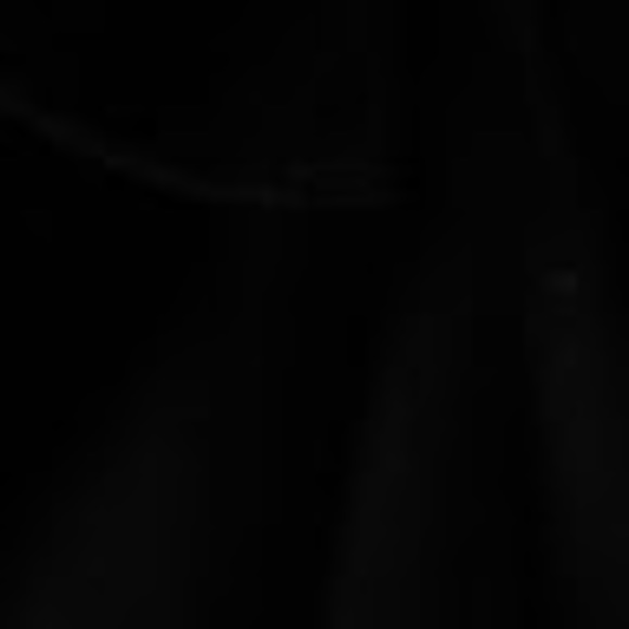 Meet your Posher, Max - Picture 1 of 1